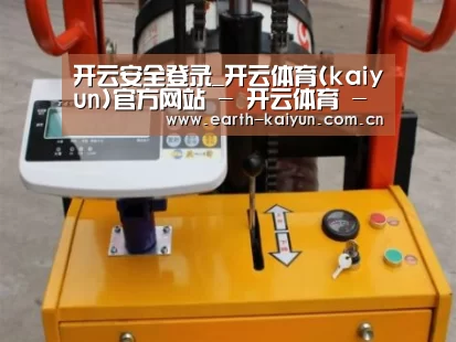 开云案例展示三