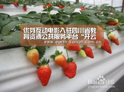 优芽互动电影入驻四川省教育资源公共服务平台“开云体育官网”(图3) 开云