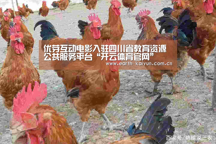 优芽互动电影入驻四川省教育资源公共服务平台“开云体育官网”(图4) 开云体育官网