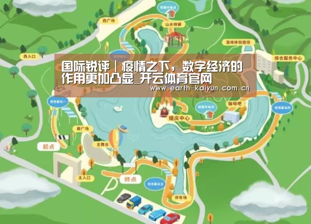 开云体育网站