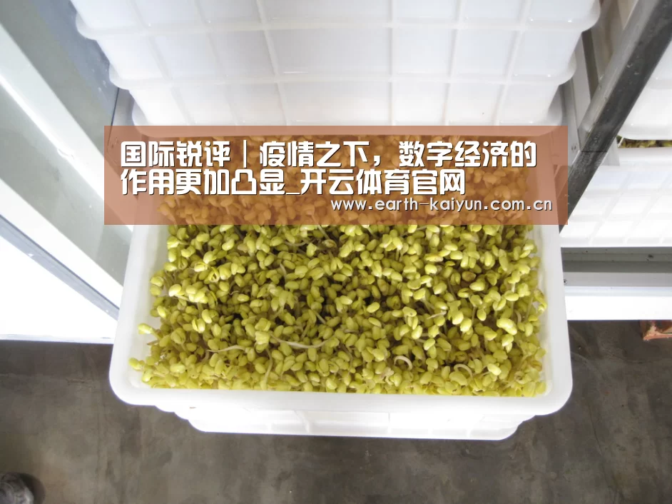 开元棋牌网址