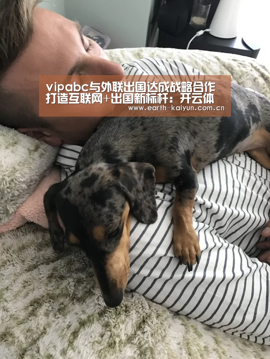 开云体育官网